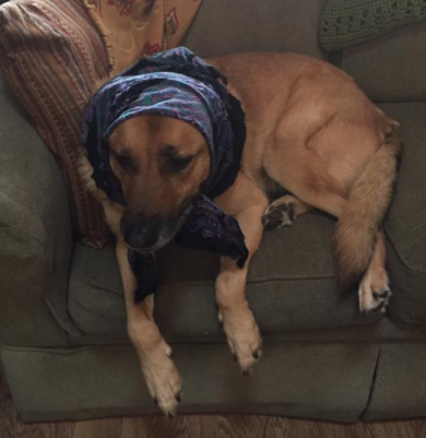 Staying positive despite some setbacks..